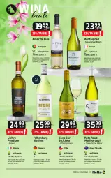 Gazetka promocyjna Netto - Netto_MK_05/25 - Gazetka - ważna od 31.05 do 31.05.2025 - strona 5 - produkty: Por, BIC, Chardonnay, Sauvignon Blanc, Fa