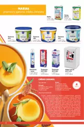 Gazetka promocyjna Makro - [Oferta specjalna] Lody, desery i dodatki - Gazetka - ważna od 31.08 do 31.08.2022 - strona 4 - produkty: Piec, Top, Sos, Por, Noż, Cukier, Talerzyk, Talerz, Piekarnik, Lanki, Mleko