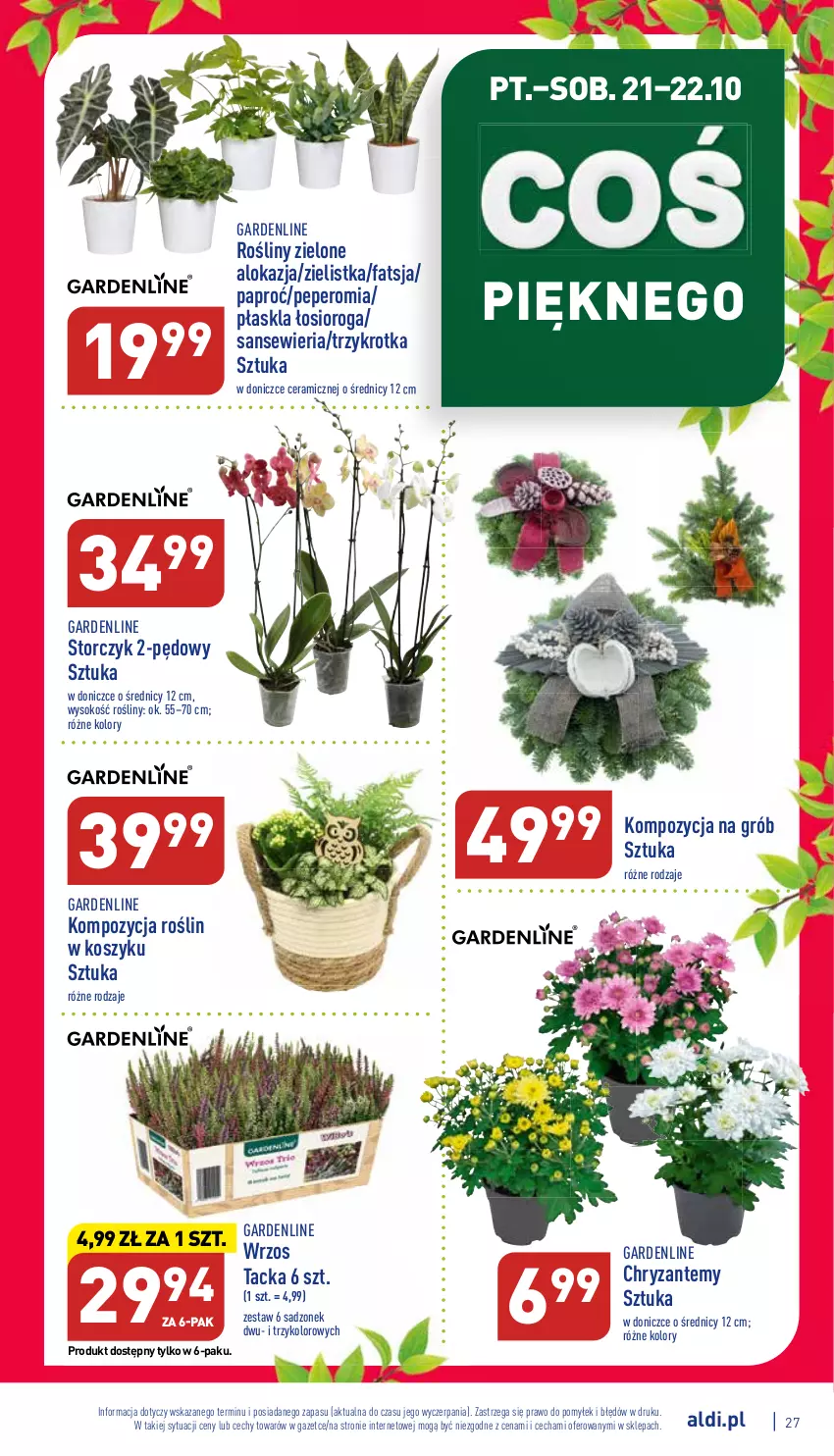 Gazetka promocyjna Aldi - Pełny katalog - ważna 17.10 do 22.10.2022 - strona 27 - produkty: Fa, Kosz, Sok, Storczyk