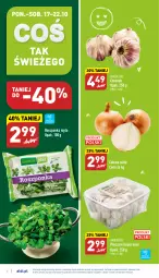 Gazetka promocyjna Aldi - Pełny katalog - Gazetka - ważna od 22.10 do 22.10.2022 - strona 2 - produkty: Piec, Cebula, Roszponka, Czosnek
