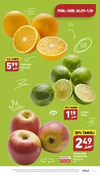 Gazetka promocyjna Aldi - Pełny katalog - Gazetka - ważna od 01.10 do 01.10.2022 - strona 3 - produkty: Pomarańcze, Szampion, Limonka, Jabłka