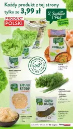 Gazetka promocyjna Intermarche - Gazetka Intermarche - Gazetka - ważna od 30.08 do 30.08.2023 - strona 12 - produkty: Cebula, Sałat, Natka pietruszki