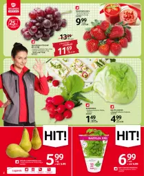 Gazetka promocyjna Selgros - Oferta spożywcza - Gazetka - ważna od 04.05 do 04.05.2022 - strona 2 - produkty: Sałata lodowa, Sałat, Bazyl, Bazylia, Wino, Rzodkiewka, LG