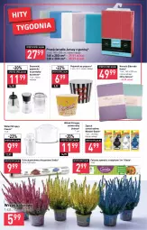 Gazetka promocyjna Stokrotka - Market - Gazetka - ważna od 21.09 do 21.09.2022 - strona 8 - produkty: Noż, Choinka, Inka, Pojemnik, Prześcieradło, Popcorn, Narzuta, Wkład filtrujący, Dozownik, Folia aluminiowa
