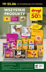 Gazetka promocyjna Biedronka - Od poniedziałku - Gazetka - ważna od 24.06 do 24.06.2023 - strona 56 - produkty: Gra, Telefon, Papier, Rama, Cars, Kosz, Napoje, Fa