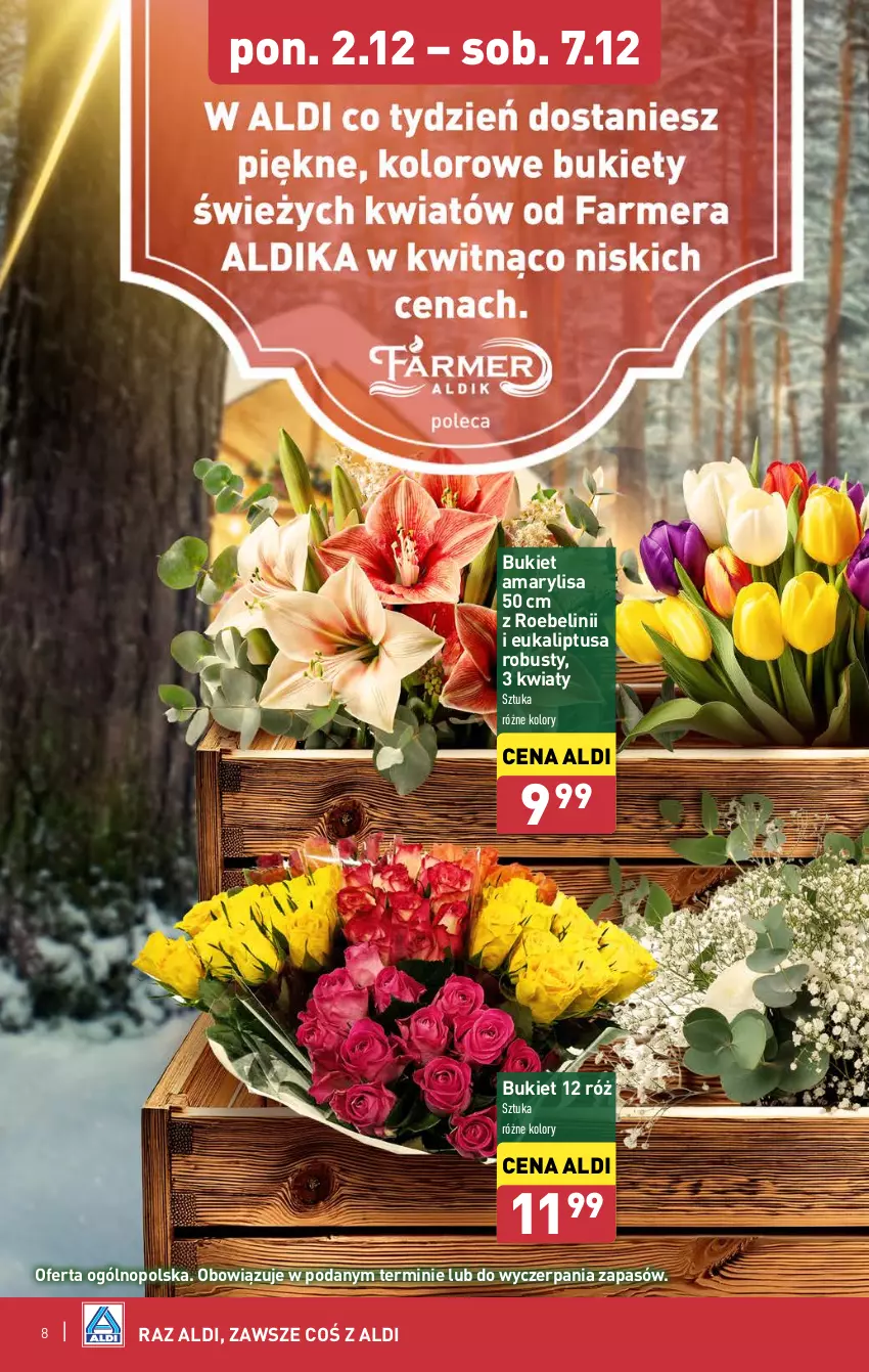 Gazetka promocyjna Aldi - Farmer ALDIK poleca świeże owoce i warzywa - ważna 02.12 do 07.12.2024 - strona 8 - produkty: Amarylis, Bukiet