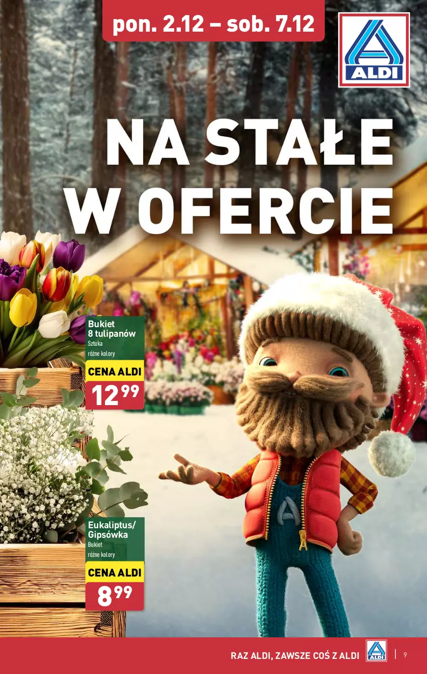 Gazetka promocyjna Aldi - Farmer ALDIK poleca świeże owoce i warzywa - ważna 02.12 do 07.12.2024 - strona 9 - produkty: Bukiet, Tulipan