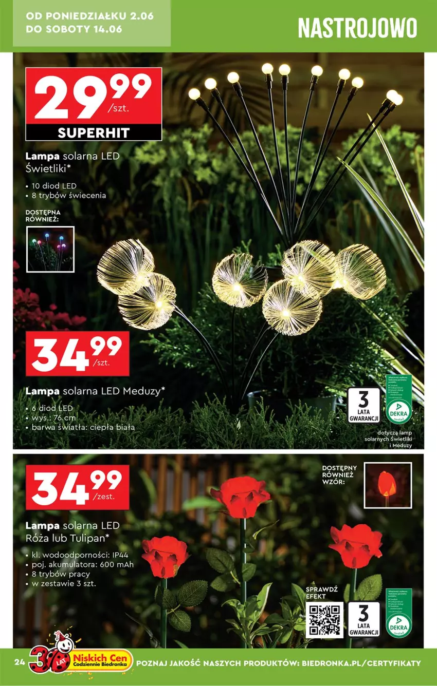 Gazetka promocyjna Biedronka - Okazje Tygodnia - ważna 31.05 do 14.06.2025 - strona 26 - produkty: Akumulator, Lampa, Por, Róża, Tulipan