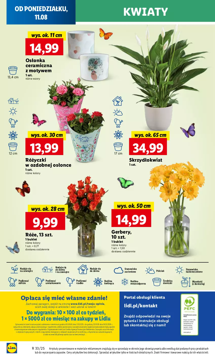 Gazetka promocyjna Lidl - GAZETKA - ważna 11.08 do 12.08.2025 - strona 62 - produkty: Bukiet, Cień, Gerber, Gra, Laur, Mola, O nas, Osłonka, Por, Portal, Sok