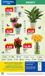 Gazetka promocyjna Lidl - GAZETKA - Gazetka - ważna od 12.08 do 12.08.2025 - strona 62 - produkty: Sok, Por, Gra, Gerber, Cień, O nas, Portal, Laur, Mola, Bukiet, Osłonka