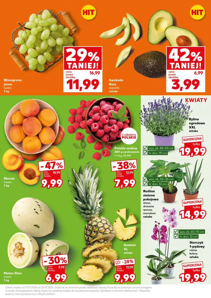 Gazetka promocyjna Kaufland - Mocny Start - ważna 21.07 do 23.07.2025 - strona 11 - produkty: Ananas, Grunt, Maliny, Melon, Storczyk, Tera, Wino, Winogrona