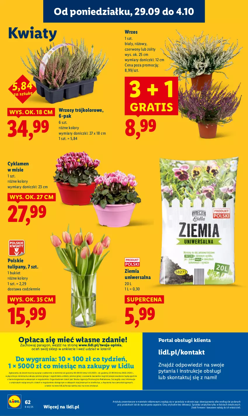 Gazetka promocyjna Lidl - GAZETKA - ważna 29.09 do 01.10.2025 - strona 66 - produkty: Bukiet, Cyklamen, Gra, Laur, Mola, Por, Portal, Tulipan