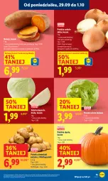 Gazetka promocyjna Lidl - GAZETKA - Gazetka - ważna od 01.10 do 01.10.2025 - strona 17 - produkty: Sałata lodowa, Ziemniaki, Sałat
