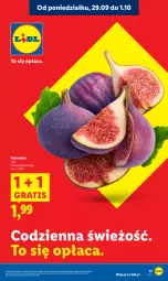 Gazetka promocyjna Lidl - GAZETKA - Gazetka - ważna od 01.10 do 01.10.2025 - strona 19 - produkty: Gra, Figi