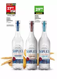 Gazetka promocyjna Delikatesy Centrum - DeliBarek DC16-DC17 - Gazetka - ważna od 27.04 do 27.04.2025 - strona 19 - produkty: Soplica, Wódka