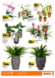 Gazetka promocyjna Obi - Zrobisz to z Obi - Gazetka - ważna od 15.03 do 15.03.2022 - strona 3 - produkty: , Storczyk, Bromelia, Fa