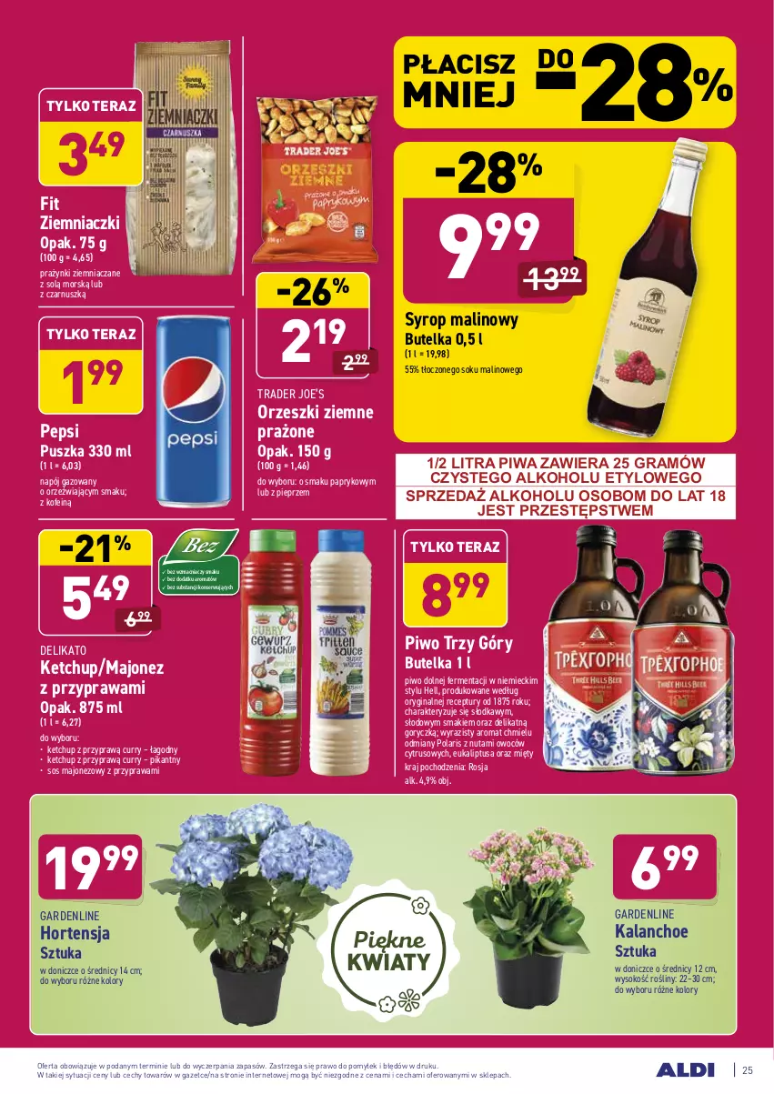 Gazetka promocyjna Aldi - ALE! CENA w ALDI - ważna 22.02 do 06.03.2021 - strona 25 - produkty: Gin, Gra, Kalanchoe, Ketchup, Majonez, Napój, Napój gazowany, Orzeszki, Orzeszki ziemne, Pepsi, Pieprz, Piwa, Piwo, Ser, Sok, Sos, Syrop, Tera