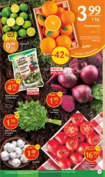 Gazetka promocyjna Delikatesy Centrum - Gazetka DC10 - Gazetka - ważna od 15.03 do 15.03.2023 - strona 17 - produkty: Pomarańcze, Ocet