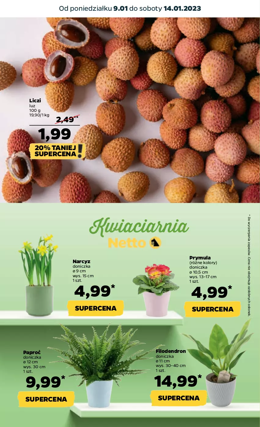 Gazetka promocyjna Netto - Artykuły spożywcze - ważna 09.01 do 14.01.2023 - strona 5 - produkty: Liczi, Narcyz, Prymula