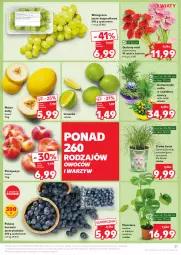 Gazetka promocyjna Kaufland - Gazetka tygodnia - Gazetka - ważna od 07.08 do 07.08.2024 - strona 21 - produkty: Koc, Gerber, Tera, Winogrona, Limonka, Wino, Grunt, Melon