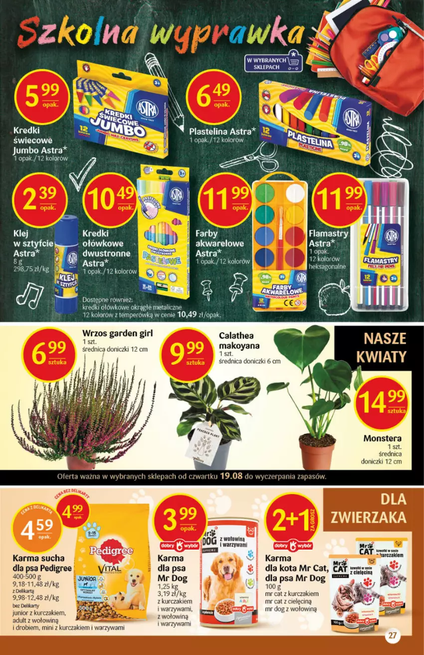 Gazetka promocyjna Delikatesy Centrum - Gazetka Delikatesy Centrum - ważna 19.08 do 25.08.2021 - strona 27 - produkty: Flamastry, HP, Koc, Kurczak, Pedigree, Plastelina, Tera, Warzywa