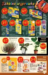 Gazetka promocyjna Delikatesy Centrum - Gazetka Delikatesy Centrum - Gazetka - ważna od 25.08 do 25.08.2021 - strona 27 - produkty: Kurczak, Warzywa, Koc, Flamastry, Tera, Plastelina, Pedigree, HP