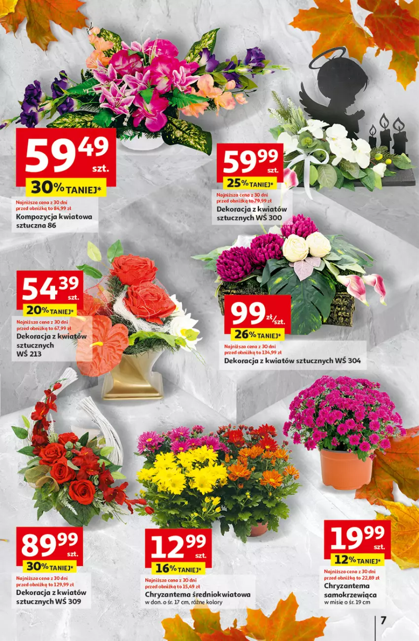 Gazetka promocyjna Auchan - Pewność niskich cen Hipermarket - ważna 02.10 do 08.10.2025 - strona 7 - produkty: Chryzantema