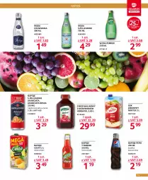 Gazetka promocyjna Selgros - Oferta gastronomiczna - Gazetka - ważna od 05.10 do 05.10.2022 - strona 11 - produkty: Sok, Napoje, Pepsi, Sok jabłkowy, Tymbark, Syrop, Dozownik, Woda, Napój, Cisowianka, Herbapol, Hortex