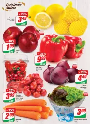 Gazetka promocyjna Dino - Gazetka - Gazetka - ważna od 03.01 do 03.01.2023 - strona 11 - produkty: Cebula czerwona, Cebula, Sałat