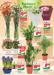 Gazetka promocyjna Dino - Gazetka - Gazetka - ważna od 03.01 do 03.01.2023 - strona 17 - produkty: Hama, Sok, Hiacynt, Bukiet