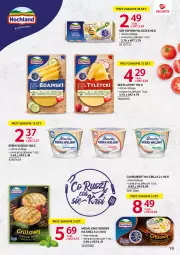 Gazetka promocyjna Selgros - Katalog Markowe Produkty - Gazetka - ważna od 01.06 do 01.06.2023 - strona 19 - produkty: Ser topiony, Serek wiejski, Top, Ser, Lion, Serek, Camembert, Grill