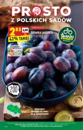 Gazetka promocyjna Biedronka - W tym tygodniu - Gazetka - ważna od 01.09 do 01.09.2021 - strona 22 - produkty: , Kotek
