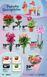 Gazetka promocyjna Netto - Od Czwartku - Gazetka - ważna od 28.06 do 28.06.2026 - strona 20 - produkty: Gerber, Róża, Storczyk, Bukiet, Merci