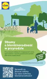 Gazetka promocyjna Lidl - GAZETKA - Gazetka - ważna od 28.01 do 28.01.2024 - strona 35 - produkty: Wazon, Siatka