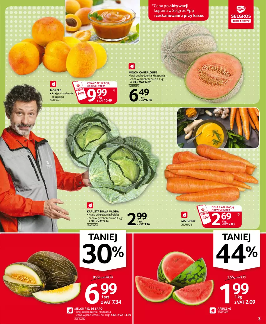 Gazetka promocyjna Selgros - Oferta spożywcza - ważna 24.06 do 07.07.2021 - strona 3 - produkty: Arbuz, LG, Melon