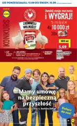 Gazetka promocyjna Lidl - GAZETKA - Gazetka - ważna od 15.09 do 15.09.2021 - strona 39 - produkty: Piec, Majonez, Pudliszki