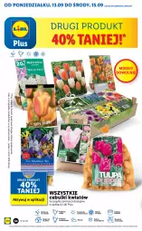 Gazetka promocyjna Lidl - GAZETKA - Gazetka - ważna od 15.09 do 15.09.2021 - strona 54 - produkty: Sok, Por, Cień, O nas