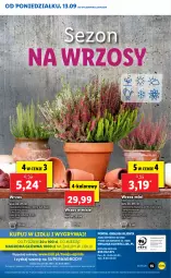 Gazetka promocyjna Lidl - GAZETKA - Gazetka - ważna od 15.09 do 15.09.2021 - strona 55 - produkty: Gry, Mola