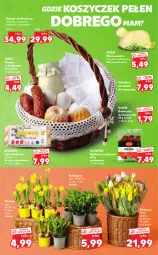 Gazetka promocyjna Kaufland - Katalog specjalny - Gazetka - ważna od 16.04 do 16.04.2022 - strona 20 - produkty: Chrzan, Ser, Tulipan, Jaja, Kosz, Narcyz, Masło, Kiełbasa, Olewnik