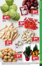 Gazetka promocyjna Stokrotka - Supermarket - Gazetka - ważna od 27.11 do 27.11.2024 - strona 9 - produkty: Warzywa, Pietruszka, Sałata lodowa, Czosnek, Ziemniaki, Sałat, Buraki, Owoce, Pomidory, Mięso