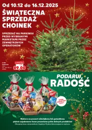 Gazetka promocyjna Kaufland - Mocny Start - Gazetka - ważna od 16.12 do 16.12.2025 - strona 24 - produkty: Kask, Kosz