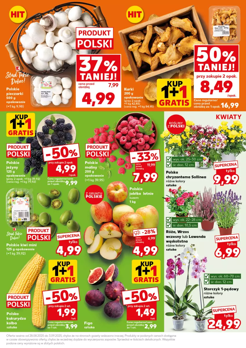 Gazetka promocyjna Kaufland - Mocny Start - ważna 01.09 do 03.09.2025 - strona 13 - produkty: Chryzantema, Grunt, Jabłka, Kiwi, Kukurydza, LG, Maliny, Róża, Sos, Storczyk