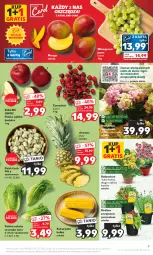 Gazetka promocyjna Kaufland - Gazetka tygodnia - Gazetka - ważna od 05.07 do 05.07.2023 - strona 9 - produkty: Gra, Ananas, Kalanchoe, Sałat, Winogrona, Bukiet, Wino, Grunt, Mango, Kukurydza, Jabłka