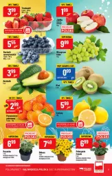 Gazetka promocyjna PoloMarket - Gazetka pomocyjna - Gazetka - ważna od 26.04 do 26.04.2022 - strona 3 - produkty: Truskawki, Pomarańcze