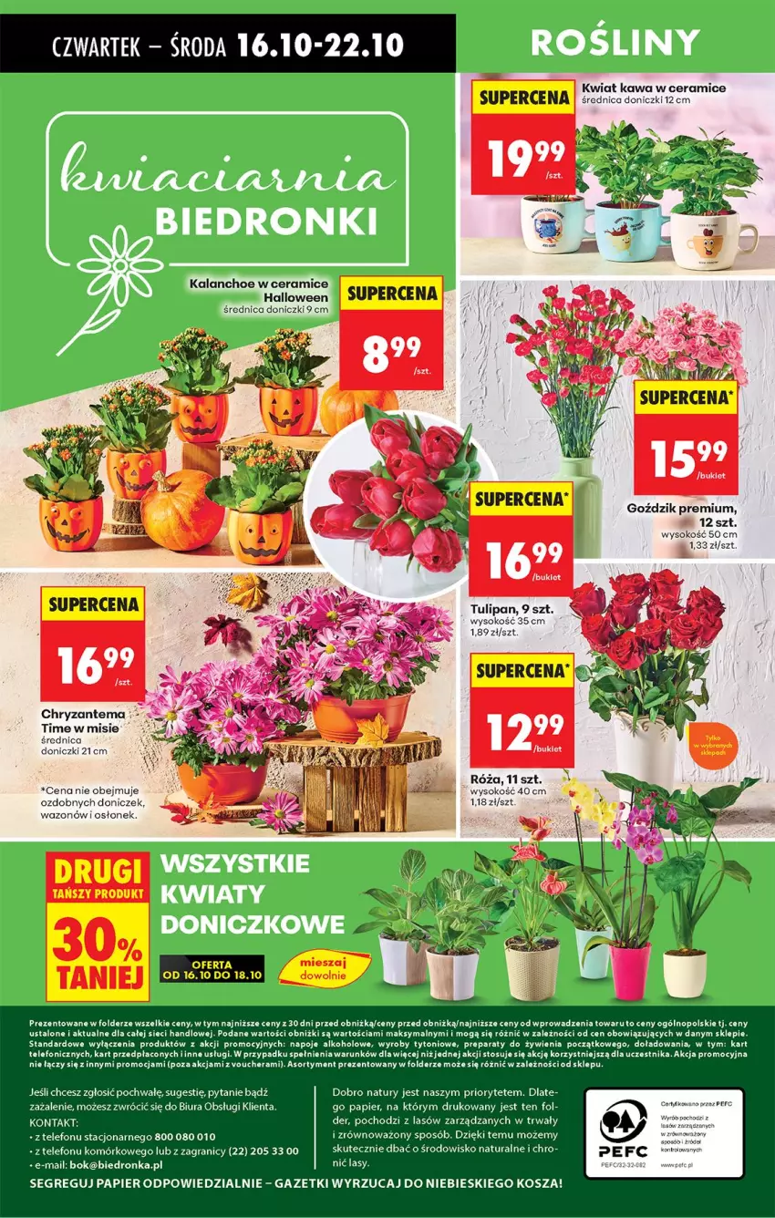 Gazetka promocyjna Biedronka - Od Czwartku - ważna 16.10 do 22.10.2025 - strona 78 - produkty: Chryzantema, Fa, Gra, Kalanchoe, Kawa, Kosz, Lion, Napoje, Papier, Róża, Sok, Telefon, Tulipan, Wazon
