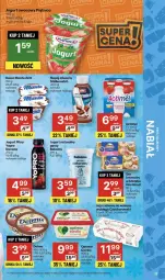 Gazetka promocyjna Delikatesy Centrum - Franczyza DC48 Czwartek - Gazetka - ważna od 03.12 do 03.12.2025 - strona 13 - produkty: Jogurt naturalny, Ser, Danone, Zott, Jaja, Jogurt, Actimel, Bakoma, Deser, Jogurt pitny, Monte