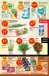 Gazetka promocyjna Delikatesy Centrum - Gazetka DC30 - Gazetka - ważna od 10.08 do 10.08.2022 - strona 25 - produkty: Kurczak, Sos, Ryż, Pampers, Pieluchy, Whiskas, BoboVita, Królik, NAN Optipro, Fanta, Owoce, Felix, Mleko, Fa