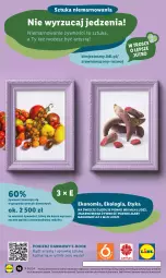 Gazetka promocyjna Lidl - GAZETKA - Gazetka - ważna od 07.09 do 07.09.2024 - strona 20 - produkty: Kosz, Wazon, Karmi