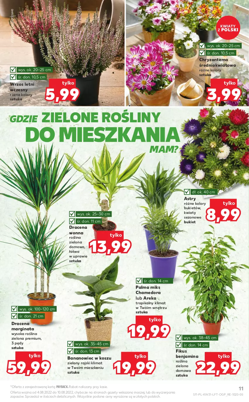 Gazetka promocyjna Kaufland - OFERTA TYGODNIA - ważna 04.08 do 10.08.2022 - strona 11 - produkty: Bukiet, Chryzantema, Gin, Kosz, Palma, Sok