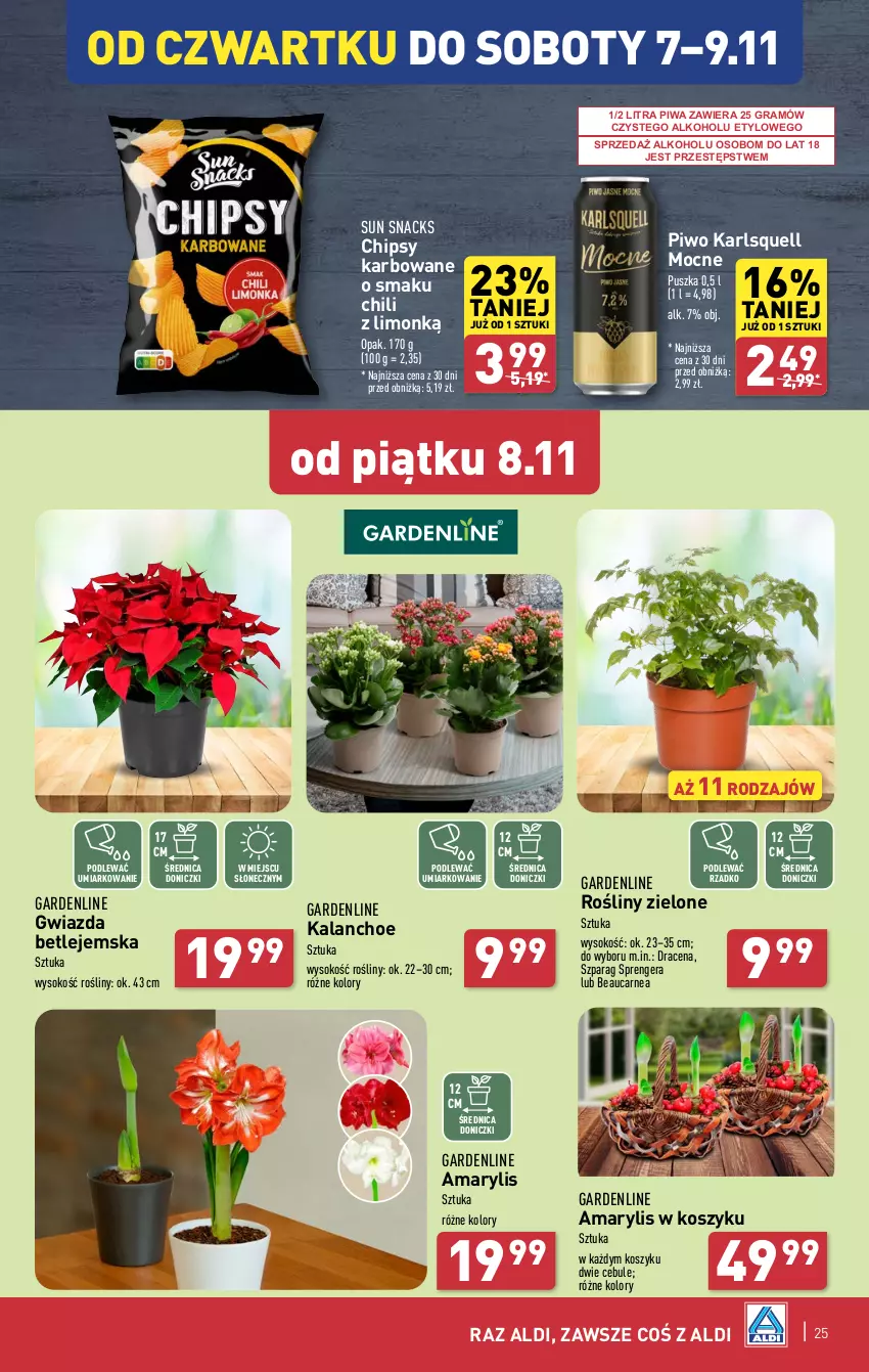 Gazetka promocyjna Aldi - Pełna oferta - ważna 04.11 do 09.11.2024 - strona 25 - produkty: Amarylis, Chipsy, Gra, Gwiazda, Kalanchoe, Karlsquell, Kosz, Piwa, Piwo, Sok